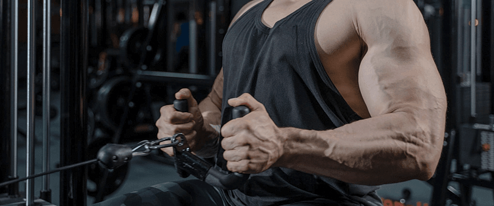 mass gain